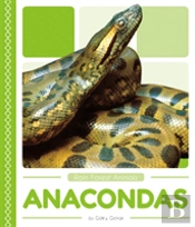 Anacondas