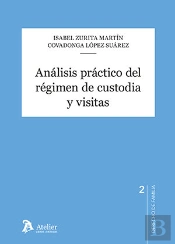 Analisis Practico Del Regimen De Custodia Y Visitas