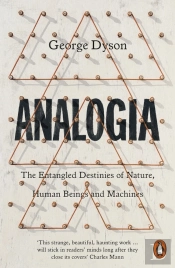 Analogia