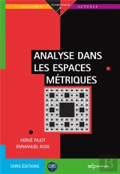 Analyse Dans Les Espaces Métriques