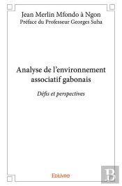 Analyse De L'Environnement Associatif Gabonais - Defis Et Perspectives