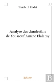 Analyse Des Clandestins De Youssouf Amine Elalamy