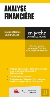 Analyse Financiere, 12eme Edition - Analyse De L'Activite, De La Performance Et De La Structure Fina