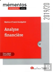 Analyse Financiere - 16eme Edition - Activite Et Performance De L Entreprise - Structure Financiere