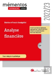 Analyse Financiere, 19eme Edition - Activite Et Performance De L'Entreprise - Structure Financiere E