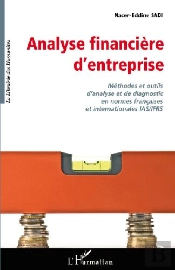 Analyse Financière D'Entreprise ; Méthodes Et Outils D'Analyse Et De Diagnostic En Normes Françaises