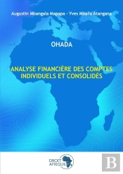 Analyse Financière Des Comptes Individuels Et Consolidés