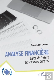 Analyse Financière : Guide De Lecture Des Comptes Annuels