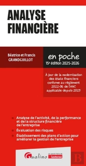 Analyse Financière : Tout Pour Réussir Une Analyse Financière Ou Un Diagnostic Financier (Édition 2025/2026)