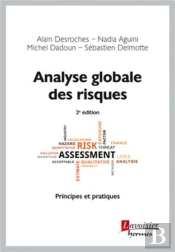 Analyse Globale Des Risques ; Principes Et Pratiques (2e Édition)