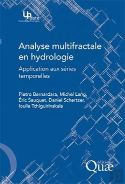 Bertrand.pt - Analyse Multifractale En Hydrologie : Application Aux Séries Temporelles