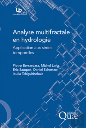 Analyse Multifractale En Hydrologie