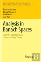Analysis In Banach Spaces
