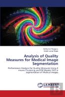 Analysis Of Quality Measures For Medical Image Segmentation