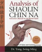 Analysis Of Shaolin Chin Na