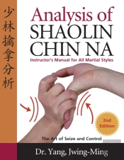 Analysis Of Shaolin Chin Na