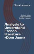 Analysis To Understand French Literature