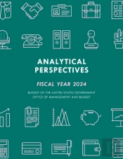 Analytical Perspectives