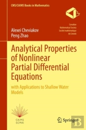 Analytical Properties Of Nonlinear Partial Differential Equations