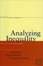 Analyzing Inequality