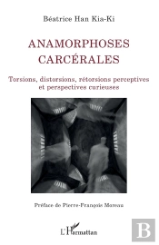 Anamorphoses Carcérales : Torsions, Distorsions, Rétorsions Perceptives Et Perspectives Curieuses