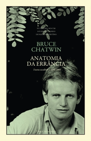 Anatomia da Errância