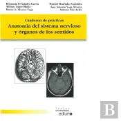 Anatomía Del Sistema Nervioso Y Órganos De Los Sentidos