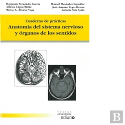 Bertrand.pt - Anatomía Del Sistema Nervioso Y Órganos De Los Sentidos