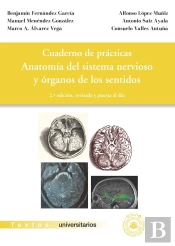 Anatomia Del Sistema Nervioso Y Organos De Los Sentidos