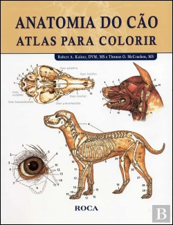 Bertrand.pt - Anatomia do Cão - Atlas para Colorir