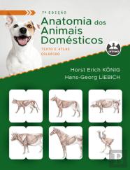 Anatomia dos Animais Domésticos