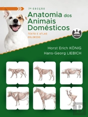 Anatomia dos Animais Domésticos