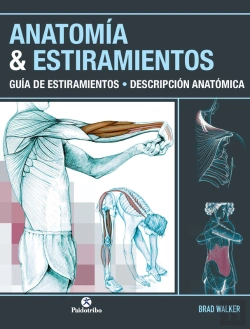 Bertrand.pt - Anatomía & Estiramientos