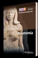 Anatomia Fichas De Autoevaluacion
