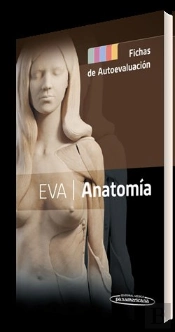 Anatomia Fichas De Autoevaluacion