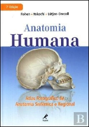 Anatomia Humana