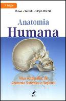 Anatomia Humana
