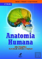 Anatomia Humana