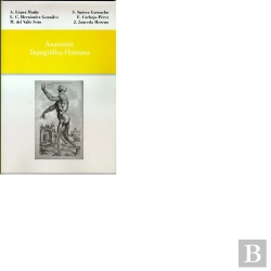 Bertrand.pt - Anatomía Topográfica Humana