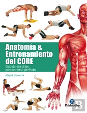 Anatomía Y Entrenamiento Del Core