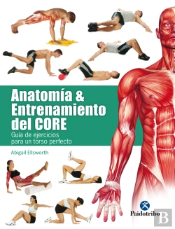 Bertrand.pt - Anatomía Y Entrenamiento Del Core