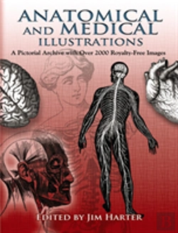 Bertrand.pt - Anatomical And Medical Illustrations