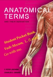 Anatomical Terms And Their Derivation