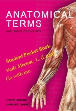 Bertrand.pt - Anatomical Terms And Their Derivation