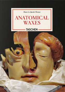 Bertrand.pt - Anatomical Waxes