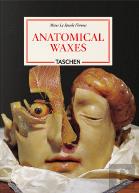 Anatomical Waxes