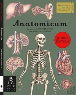 Bertrand.pt - Anatomicum Junior