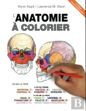 Anatomie À Colorier (4e Édition)