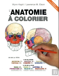 Bertrand.pt - Anatomie À Colorier (4e Édition)