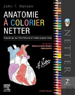 Bertrand.pt - Anatomie A Colorier Netter